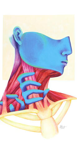 Anatomy #1 - Acrylic Painting